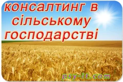 Консалтинг в сільському господарстві Львів Київ Україна