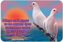 Корисні поради психолога про дружбу та вибір друзів