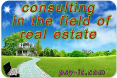 Consulting in the purchase of real estate Lviv Kyiv Ukraine