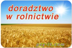 Doradztwo w rolnictwie Lwów Kijów Ukraina