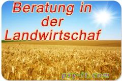 Beratung in der Landwirtschaft Lemberg Kiew Ukraine